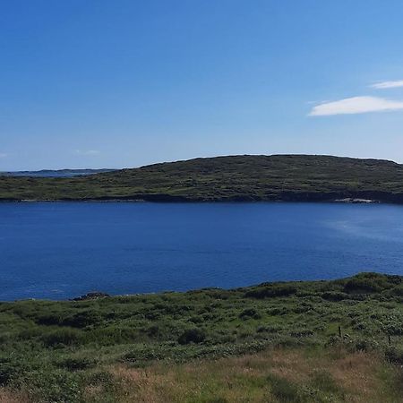 Conneelys Cottage, Connemara, Clifden, H71Y096 외부 사진